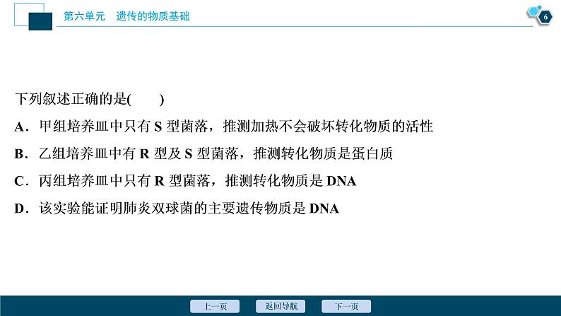 (新高考)高考生物一轮复习讲义课件第17讲DNA是主要的遗传物质 (含解析)第7页