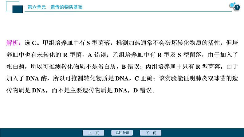 (新高考)高考生物一轮复习讲义课件第17讲DNA是主要的遗传物质 (含解析)第8页