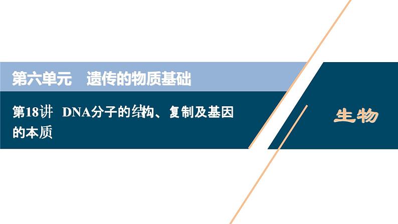 (新高考)高考生物一轮复习讲义课件第18讲DNA分子的结构、复制及基因的本质 (含解析)01