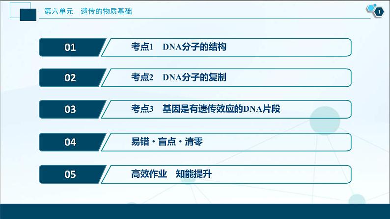 (新高考)高考生物一轮复习讲义课件第18讲DNA分子的结构、复制及基因的本质 (含解析)02