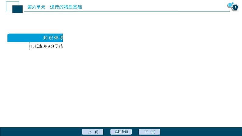 (新高考)高考生物一轮复习讲义课件第18讲DNA分子的结构、复制及基因的本质 (含解析)03