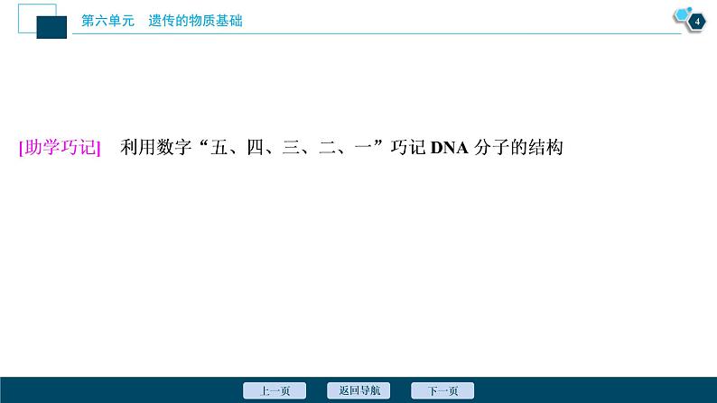 (新高考)高考生物一轮复习讲义课件第18讲DNA分子的结构、复制及基因的本质 (含解析)05