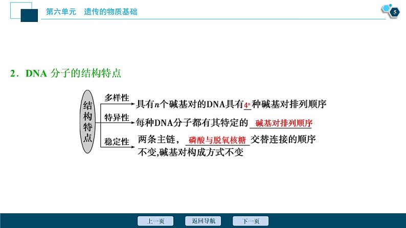 (新高考)高考生物一轮复习讲义课件第18讲DNA分子的结构、复制及基因的本质 (含解析)06