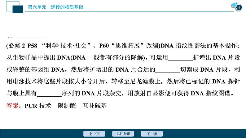 (新高考)高考生物一轮复习讲义课件第18讲DNA分子的结构、复制及基因的本质 (含解析)07