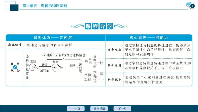 (新高考)高考生物一轮复习讲义课件第19讲基因的表达 (含解析)03