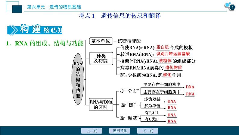 (新高考)高考生物一轮复习讲义课件第19讲基因的表达 (含解析)04