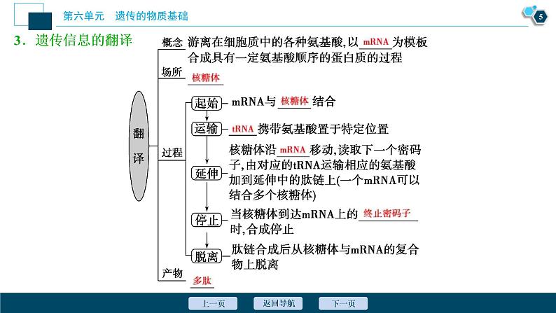 (新高考)高考生物一轮复习讲义课件第19讲基因的表达 (含解析)06