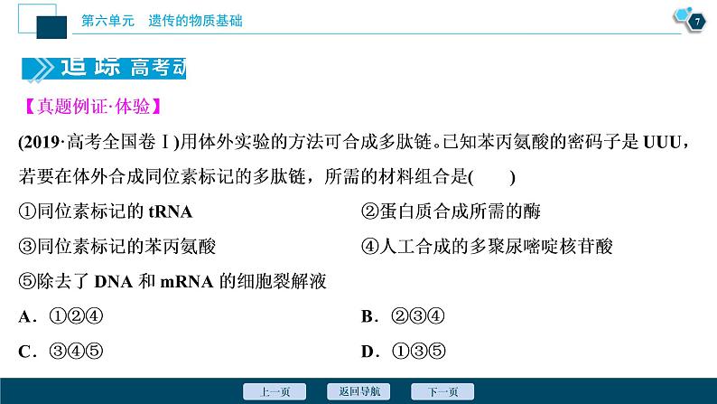 (新高考)高考生物一轮复习讲义课件第19讲基因的表达 (含解析)08