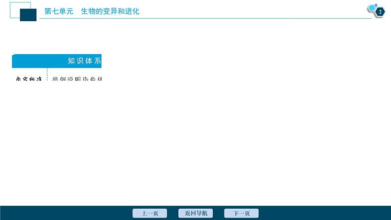 (新高考)高考生物一轮复习讲义课件第21讲染色体变异 (含解析)第3页