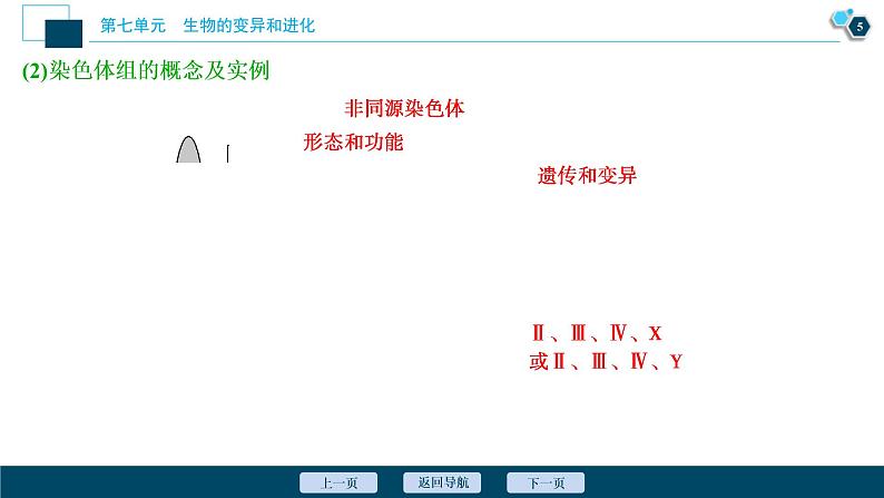 (新高考)高考生物一轮复习讲义课件第21讲染色体变异 (含解析)第6页