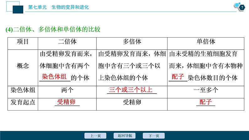 (新高考)高考生物一轮复习讲义课件第21讲染色体变异 (含解析)第8页