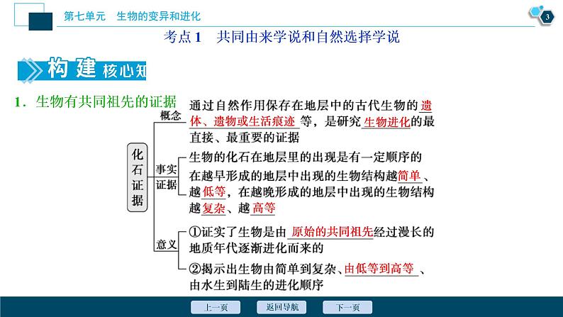 (新高考)高考生物一轮复习讲义课件第22讲生物的进化 (含解析)第4页