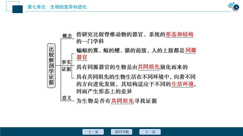 (新高考)高考生物一轮复习讲义课件第22讲生物的进化 (含解析)第5页