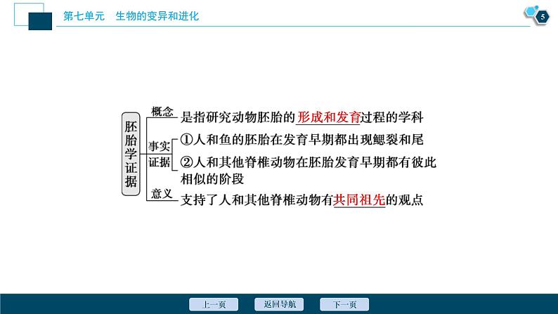 (新高考)高考生物一轮复习讲义课件第22讲生物的进化 (含解析)第6页