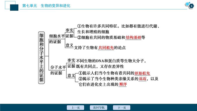 (新高考)高考生物一轮复习讲义课件第22讲生物的进化 (含解析)第7页