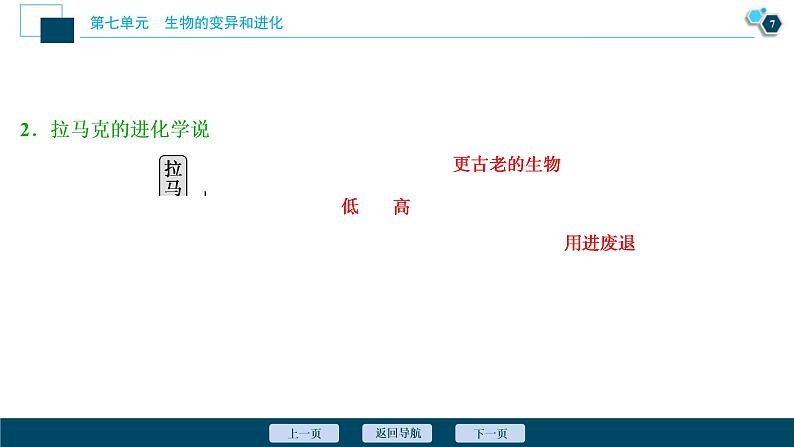 (新高考)高考生物一轮复习讲义课件第22讲生物的进化 (含解析)第8页