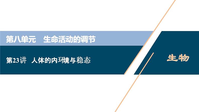 (新高考)高考生物一轮复习讲义课件第23讲人体的内环境与稳态 (含解析)第1页