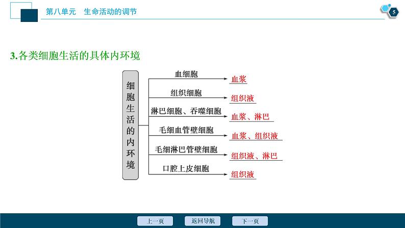 (新高考)高考生物一轮复习讲义课件第23讲人体的内环境与稳态 (含解析)第6页