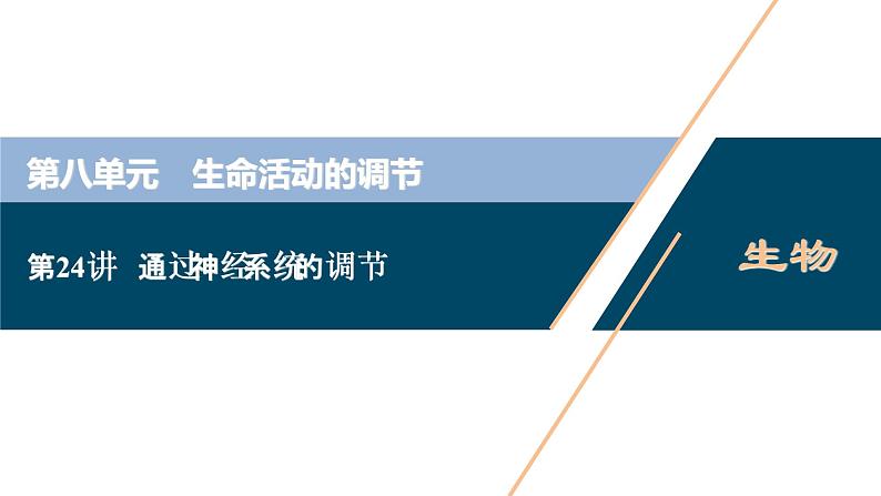 (新高考)高考生物一轮复习讲义课件第24讲通过神经系统的调节 (含解析)01