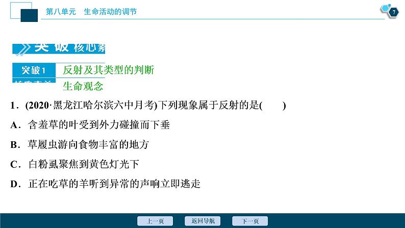 (新高考)高考生物一轮复习讲义课件第24讲通过神经系统的调节 (含解析)08