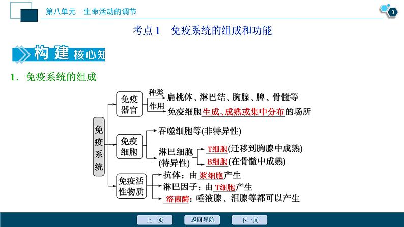 (新高考)高考生物一轮复习讲义课件第26讲免疫调节 (含解析)04