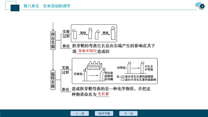 (新高考)高考生物一轮复习讲义课件第27讲植物的激素调节 (含解析)第5页