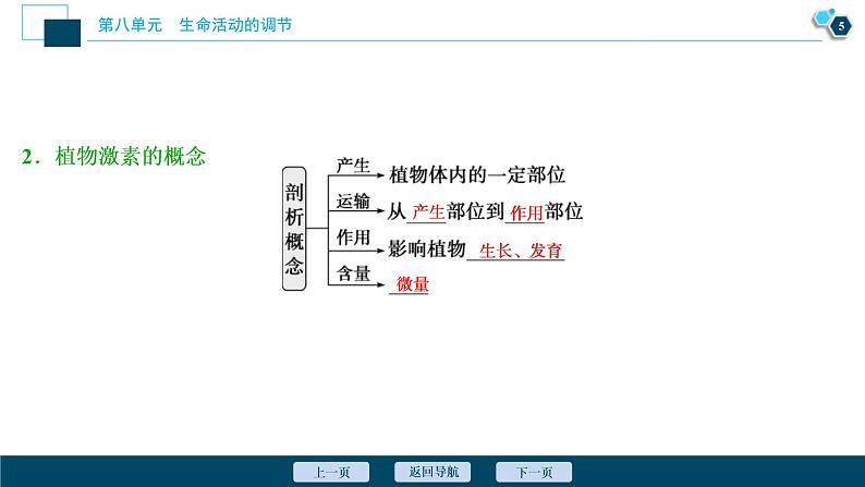 (新高考)高考生物一轮复习讲义课件第27讲植物的激素调节 (含解析)第6页