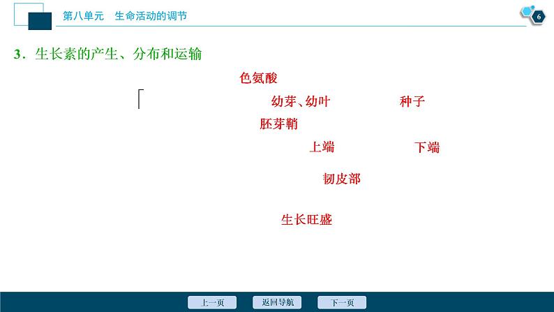 (新高考)高考生物一轮复习讲义课件第27讲植物的激素调节 (含解析)第7页