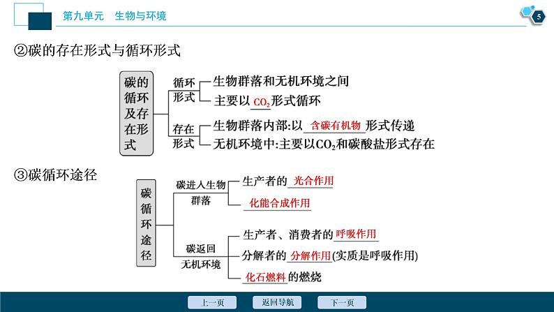 (新高考)高考生物一轮复习讲义课件第31讲物质循环、信息传递和生态系统的稳定性 (含解析)06