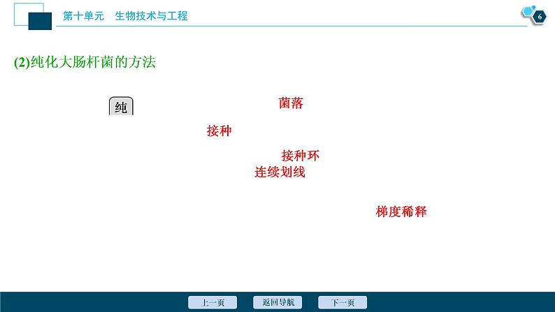 (新高考)高考生物一轮复习讲义课件第33讲发酵工程 (含解析)07