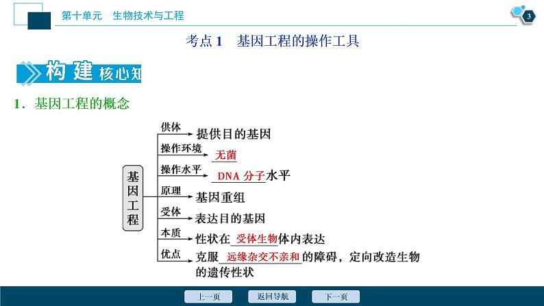 (新高考)高考生物一轮复习讲义课件第34讲基因工程 (含解析)04