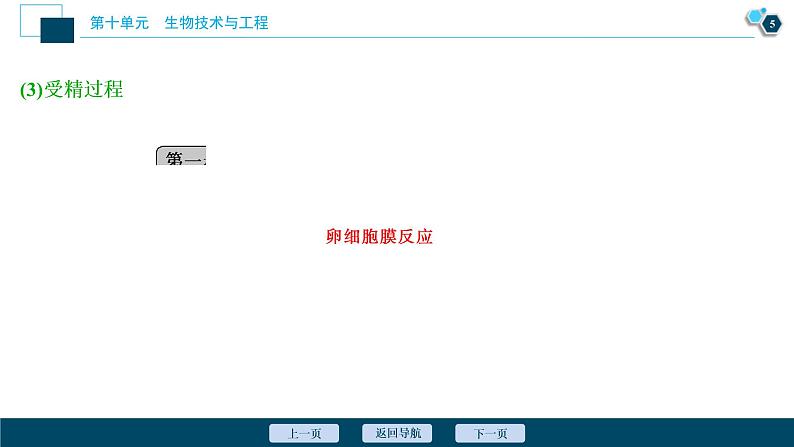 (新高考)高考生物一轮复习讲义课件第36讲胚胎工程、生物技术的安全性与伦理问题 (含解析)06