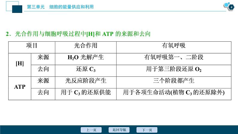 (新高考)高考生物一轮复习讲义课件加强提升课(1)光合作用与细胞呼吸综合应用 (含解析)第5页