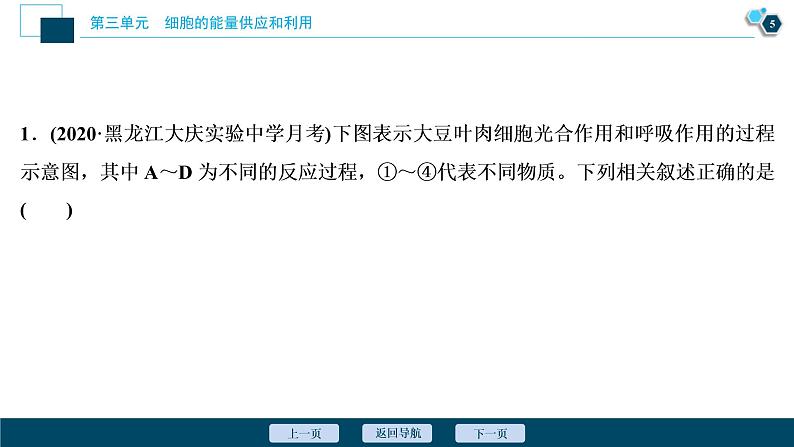 (新高考)高考生物一轮复习讲义课件加强提升课(1)光合作用与细胞呼吸综合应用 (含解析)第6页