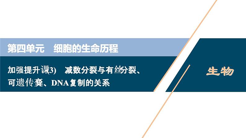 (新高考)高考生物一轮复习讲义课件加强提升课(3)减数分裂与有丝分裂、可遗传变异、DNA复制的关系 (含解析)01