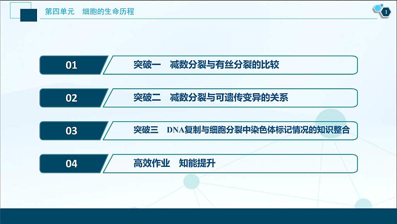 (新高考)高考生物一轮复习讲义课件加强提升课(3)减数分裂与有丝分裂、可遗传变异、DNA复制的关系 (含解析)02