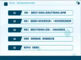 (新高考)高考生物一轮复习讲义课件加强提升课(5)基因位置的判定及相关实验设计突破 (含解析)