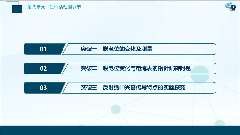 (新高考)高考生物一轮复习讲义课件加强提升课(6)膜电位测定及相关的实验探究 (含解析)第2页