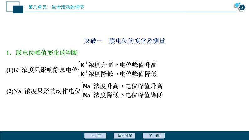 (新高考)高考生物一轮复习讲义课件加强提升课(6)膜电位测定及相关的实验探究 (含解析)第3页