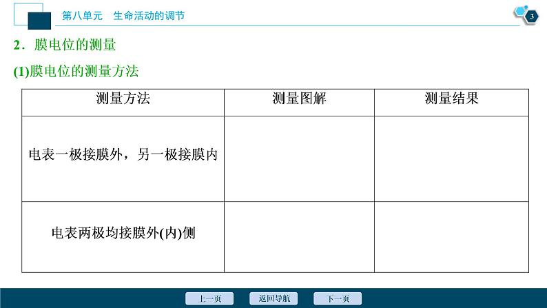 (新高考)高考生物一轮复习讲义课件加强提升课(6)膜电位测定及相关的实验探究 (含解析)第4页