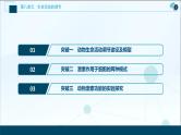 (新高考)高考生物一轮复习讲义课件加强提升课(7)动物生命活动调节模型及相关实验突破 (含解析)