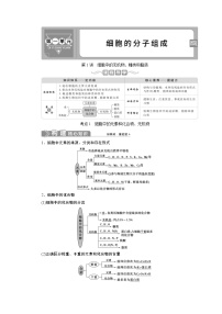 (新高考)高考生物一轮复习学案第1讲细胞中的无机物、糖类和脂质(含解析)