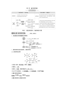 (新高考)高考生物一轮复习学案第2讲蛋白质和核酸(含解析)