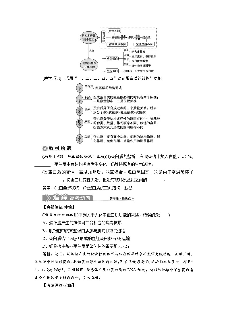 (新高考)高考生物一轮复习学案第2讲蛋白质和核酸(含解析)02