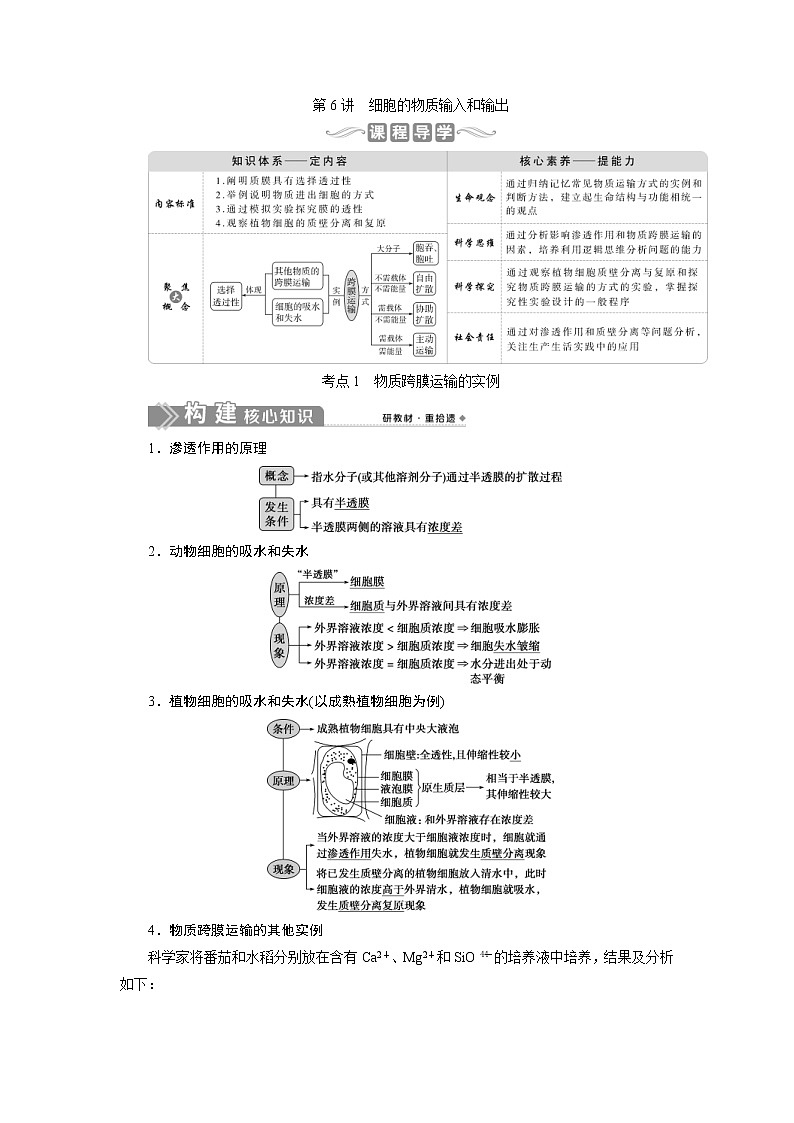 (新高考)高考生物一轮复习学案第6讲细胞的物质输入和输出(含解析)第1页