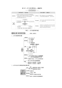 (新高考)高考生物一轮复习学案第8讲ATP及其主要来源——细胞呼吸(含解析)