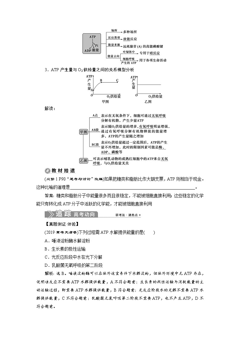 (新高考)高考生物一轮复习学案第8讲ATP及其主要来源——细胞呼吸(含解析)02