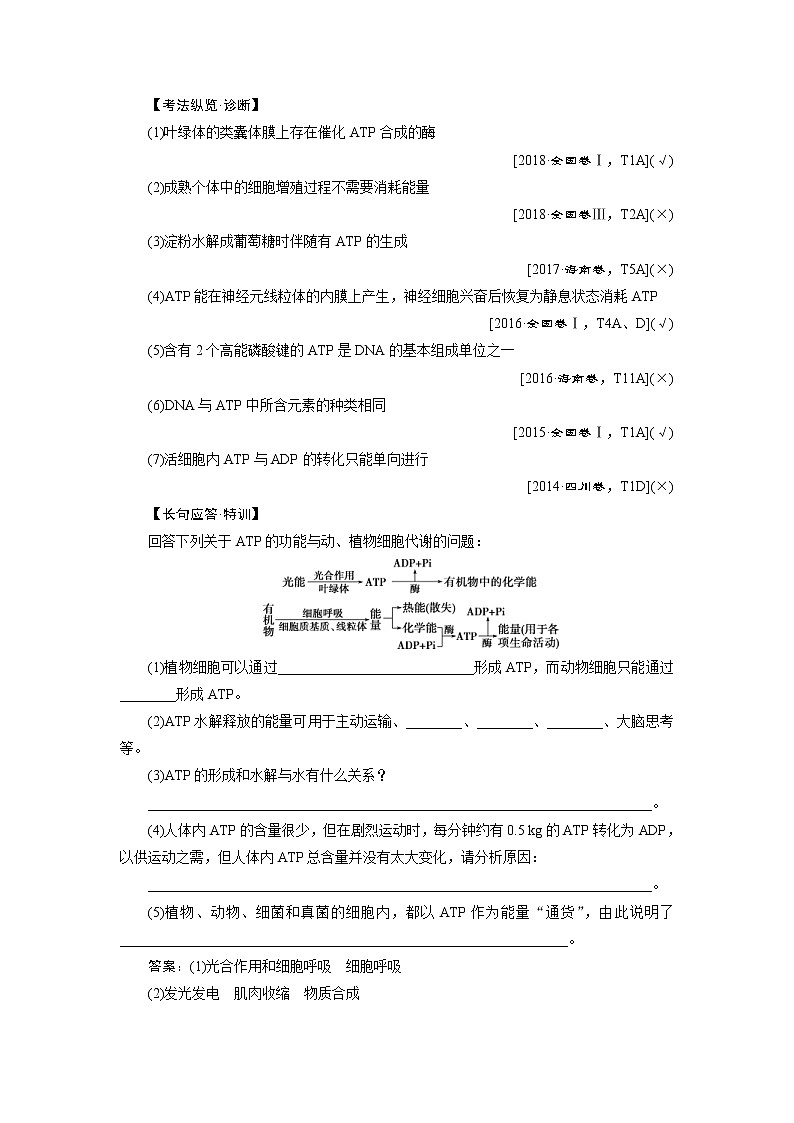 (新高考)高考生物一轮复习学案第8讲ATP及其主要来源——细胞呼吸(含解析)03