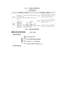 (新高考)高考生物一轮复习学案第11讲减数分裂及受精作用(含解析)