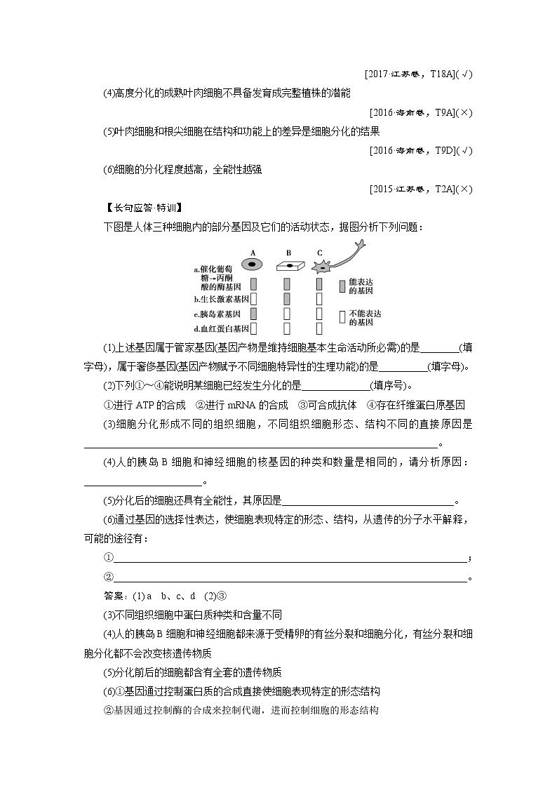 (新高考)高考生物一轮复习学案第12讲细胞的分化、衰老、凋亡及癌变(含解析)03